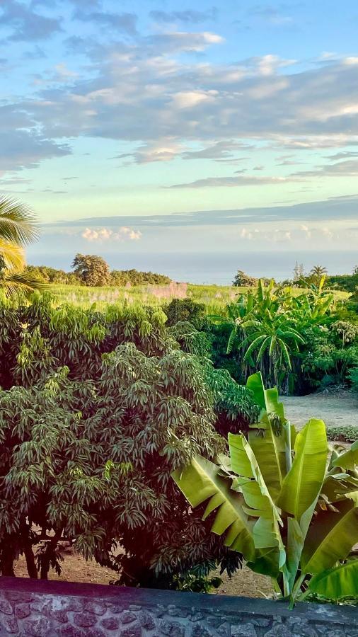 Les Villas De La Ligne Des Bambous Ravine des Cabris Exterior photo