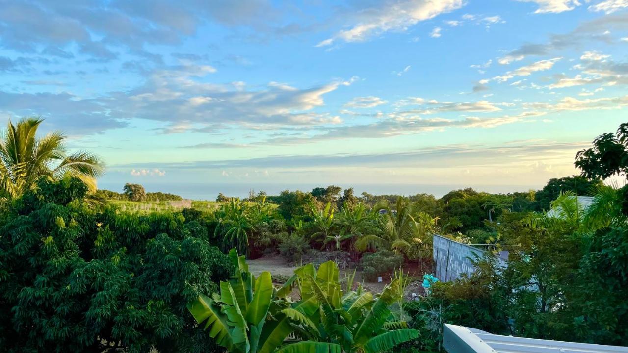 Les Villas De La Ligne Des Bambous Ravine des Cabris Exterior photo